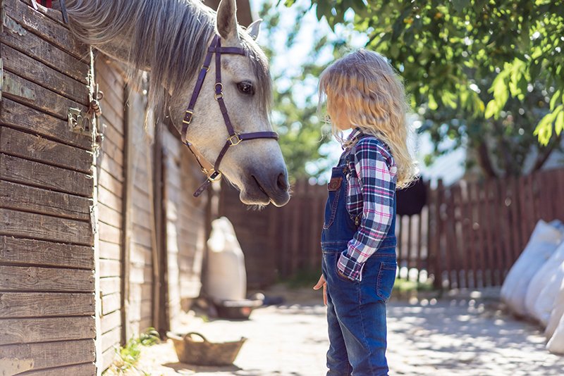 side view of kid looking at white horse at farm