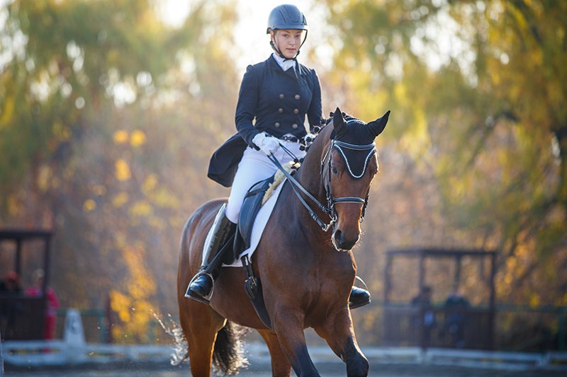 Teenage girl riding horse on equestrian dressage test in autumn.